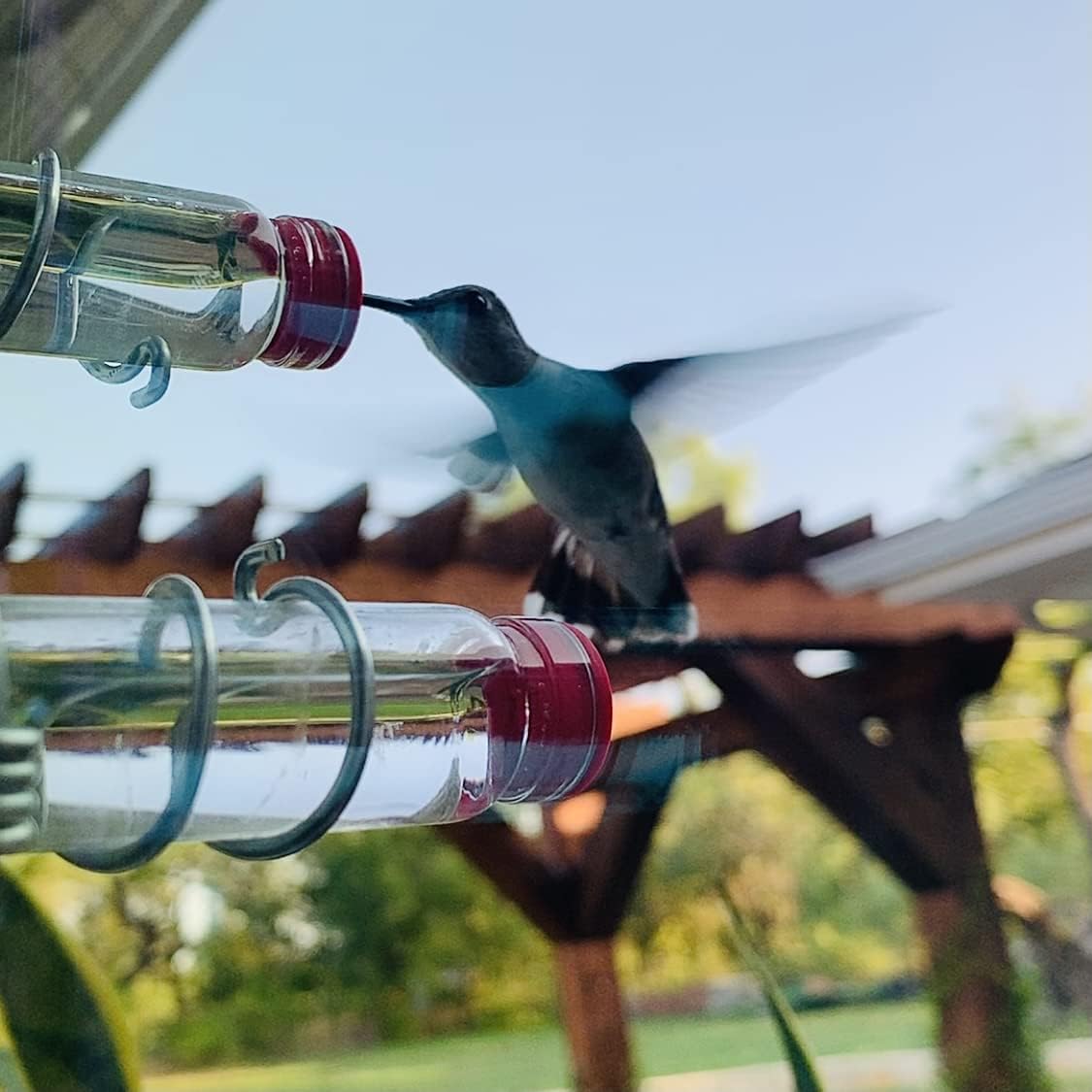 Window Hummingbird Feeder | Handcrafted Copper and Aluminum | Multiple Stations | Modern Hummingbird Feeder | Glass Bottles | Suction Cups (Copper, Four Station)