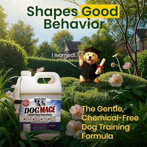 Nature's MACE Dog Mace Dog Repellent 1 Gallon Concentrate | Potty Training Tool Spray, Indoor & Outdoor, Pee Deterrent, Safe Around Kids, Pets, Garden & Plants, Treats 48,000 Sq. Ft.