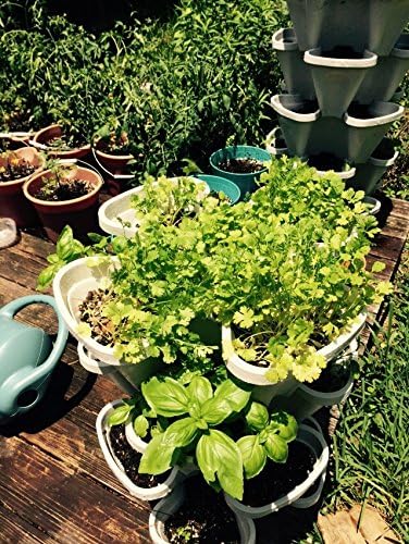 Mr. Stacky 3 Tier Stackable Herb Garden Planter Set with Bottom Saucer - Stone Color - Vertical Container Pots for Herbs, Strawberries, Flowers