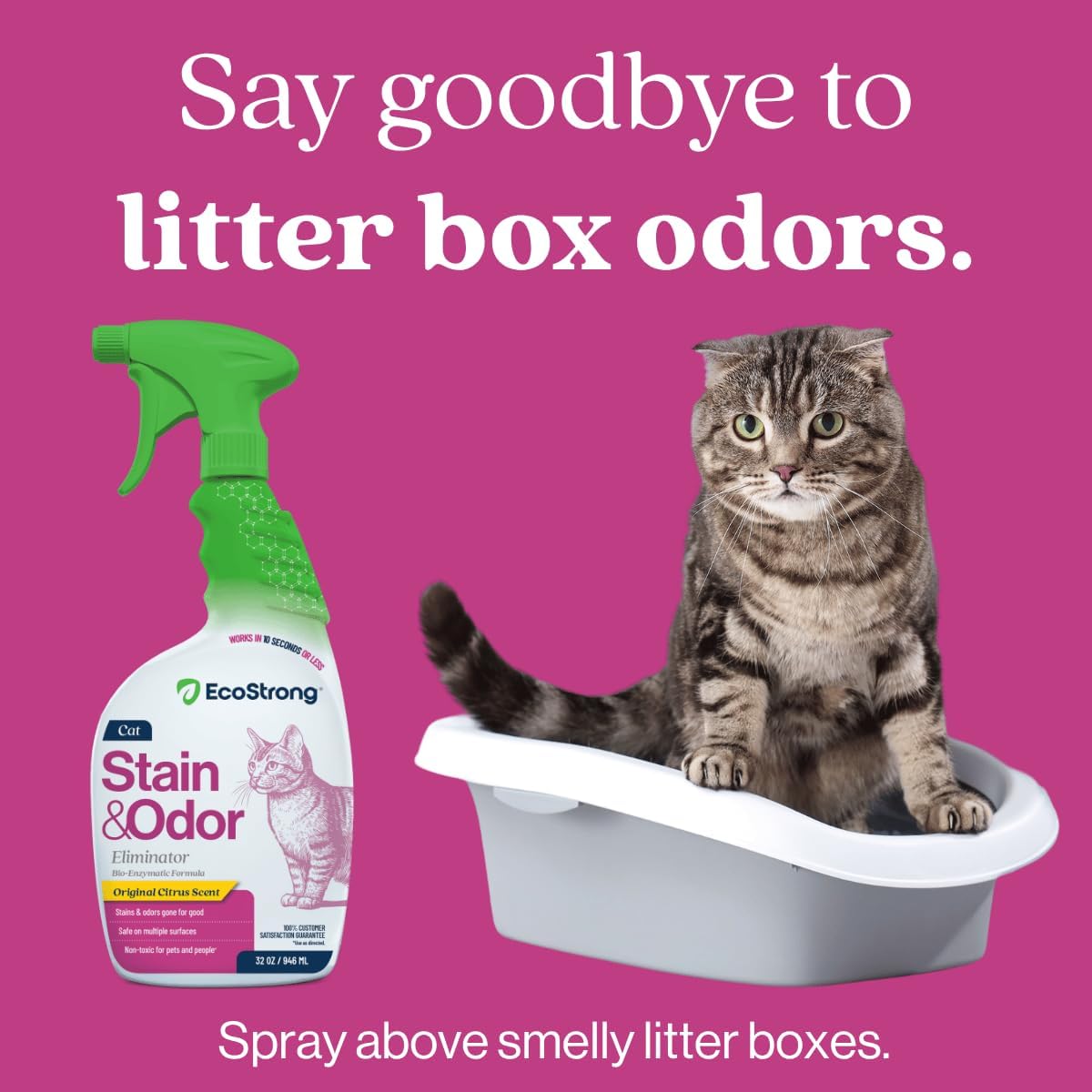 Eco Strong Cat Stain And Odor Remover| Enzyme Urine Odor Neutralizer - Stain Remover for Carpet, Litter Boxes, Bedding