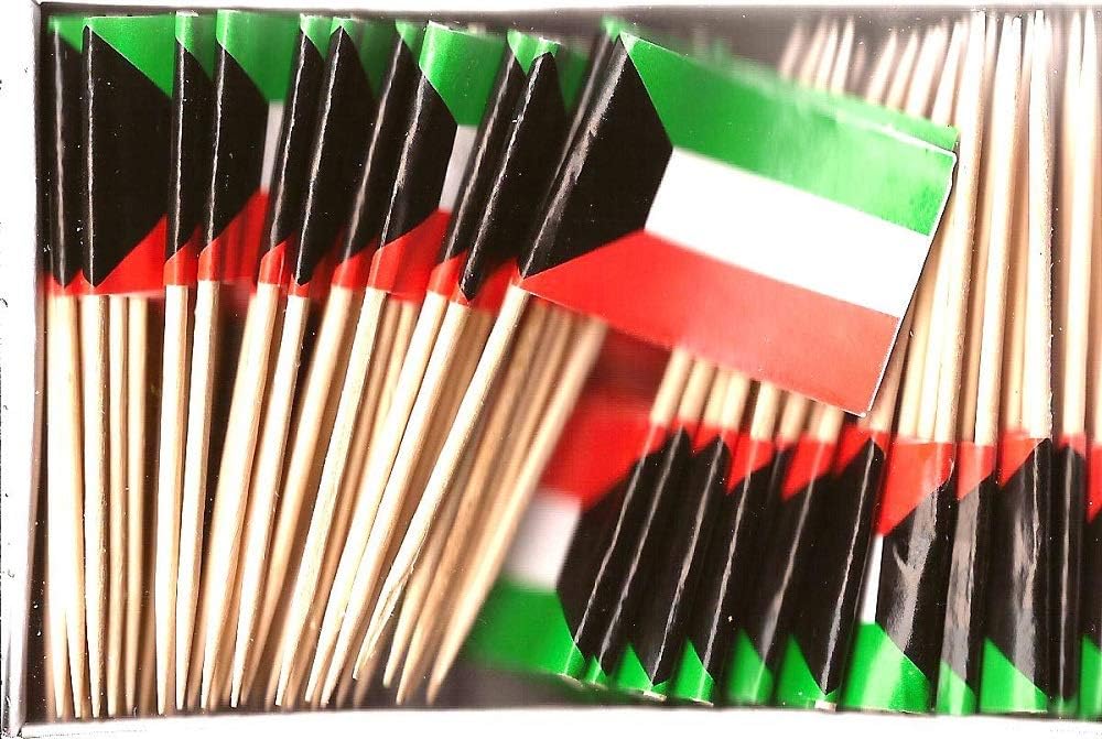 One Box of 100 Nicaragua Toothpick Flags, 100 Small Mini International Flag Cupcake Toothpicks or Cocktail Picks