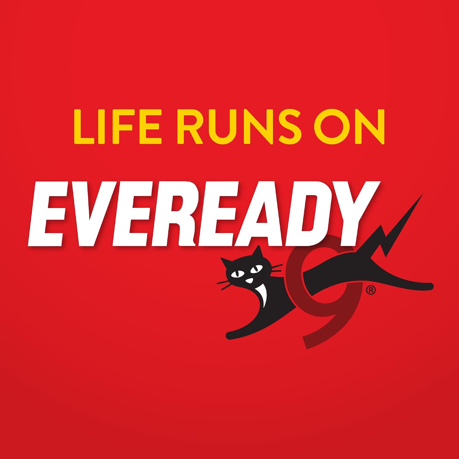 Eveready Super Heavy Duty 1209 6 Volt Spring Lantern Battery