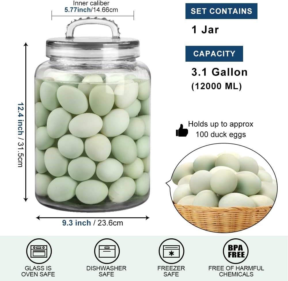3 Gallon Glass Jar with Airtight Lid, Wide Mouth Large Glass Container