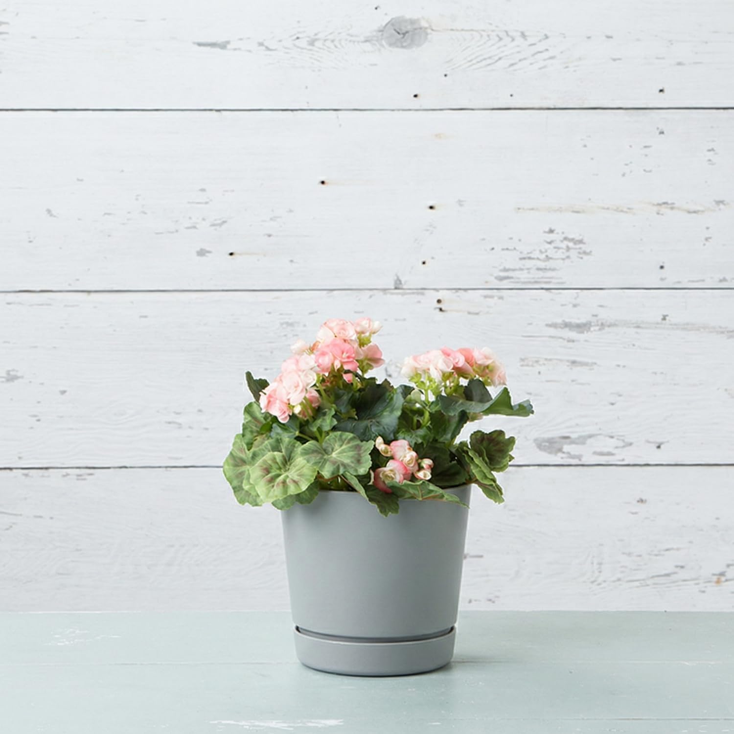 Novelty Majestic Full Depth Round Cylinder Pot, Glossy White, 8-Inch (10082)