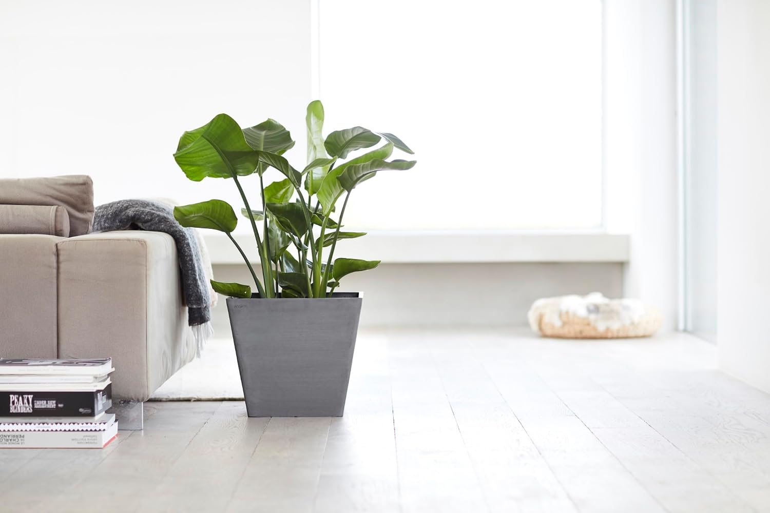 Ecopots Rotterdam Square Flower Planter, White Grey, 8" | Modern Style, Durable Recycled-Based Composite Construction, Weather and UV-Resistant, for Indoor/Outdoor Use