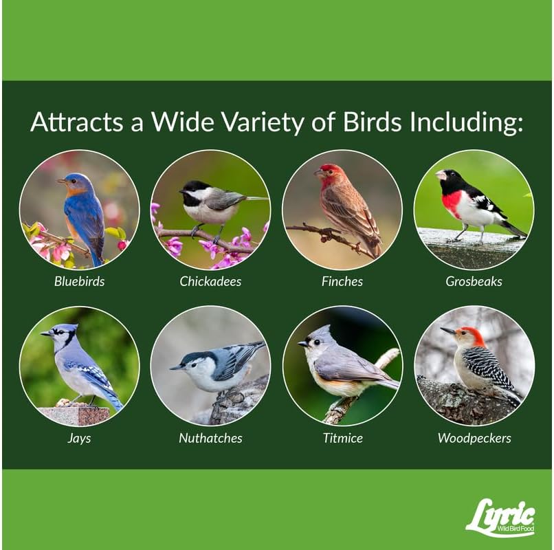 Lyric Fine Tunes Wild Bird Seed Mix - No Waste Bird Food Mix - Attracts Bluebirds, Finches, Chickadees & More - Seed for Outside Feeders - 15 lb Bag | Attracts Bluebirds, Finches, Chickadees and more - Seed for outside feeders