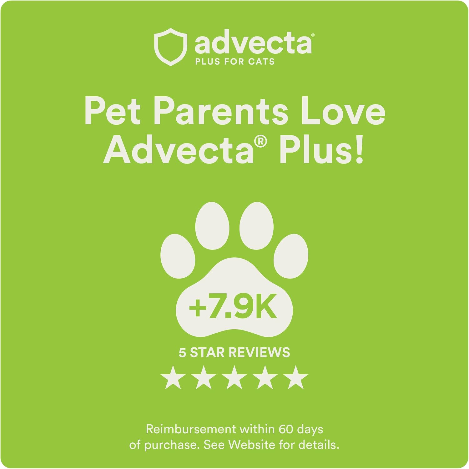 Advecta Plus Cat Flea Treatment 5-9 lbs, Imidacloprid, 4-Month | Ideal for Small Cats 5-9 lbs; Kills Adult Fleas in 12 hrs; 4-month supply; Breaks Flea Life Cycle