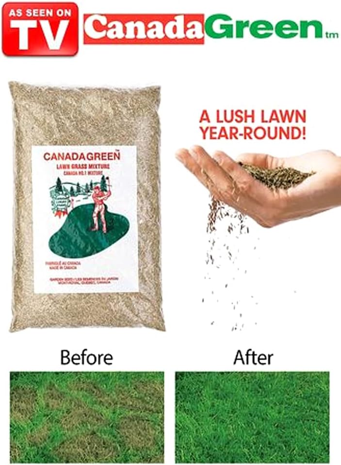 Canada Green Grass Lawn Seed - Grows Healthy Rich Green Grass Lawn Seed Plants Yard Garden 2 Pound Bag