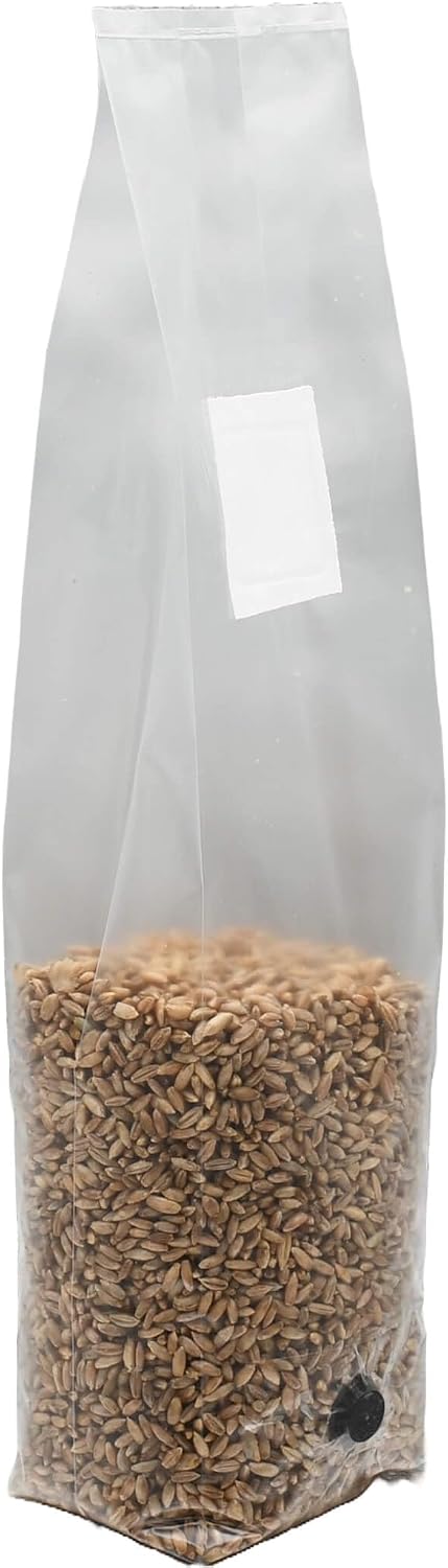 2 Pound Bag of Sterilized Rye Berries Mushroom Substrate with Self Healing Injector Port