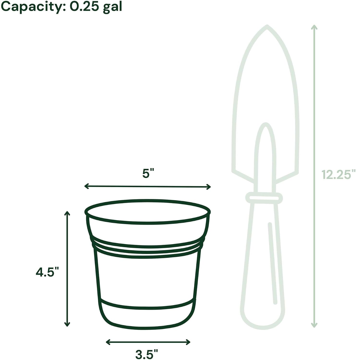 Bloem Saturn Planter with Saucer, 10", Calypso (SP1027)