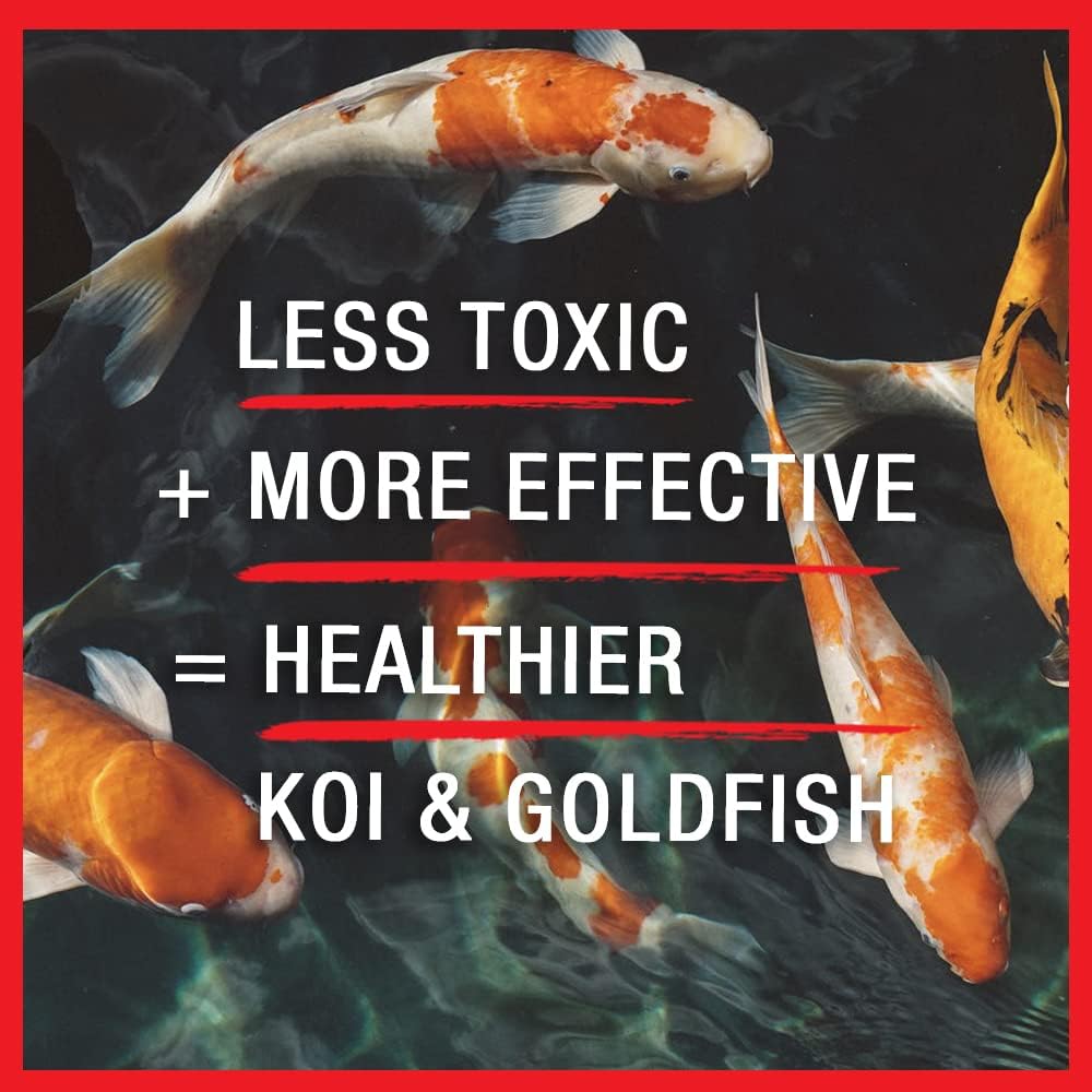 MICROBE-LIFT BSDT16 Broad Spectrum Disease Treatment for Ponds and Outdoor Water Garden, Safe for Live Koi Fish, Goldfish, Plants, and Decor, 16 Fl Oz