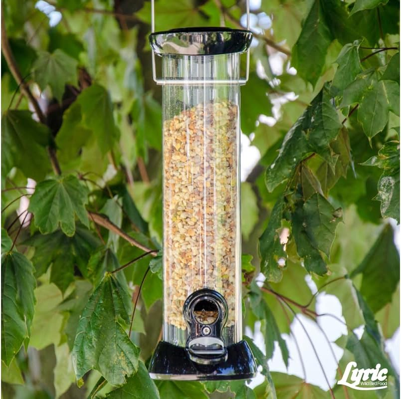Lyric Fine Tunes Wild Bird Seed Mix - No Waste Bird Food Mix - Attracts Bluebirds, Finches, Chickadees & More - Seed for Outside Feeders - 15 lb Bag | Attracts Bluebirds, Finches, Chickadees and more - Seed for outside feeders