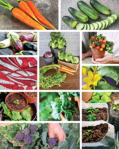 How to Garden Indoors & Grow Your Own Food Year-Round: Ultimate Guide to Vertical, Container, and Hydroponic Gardening (Creative Homeowner) Vegetables