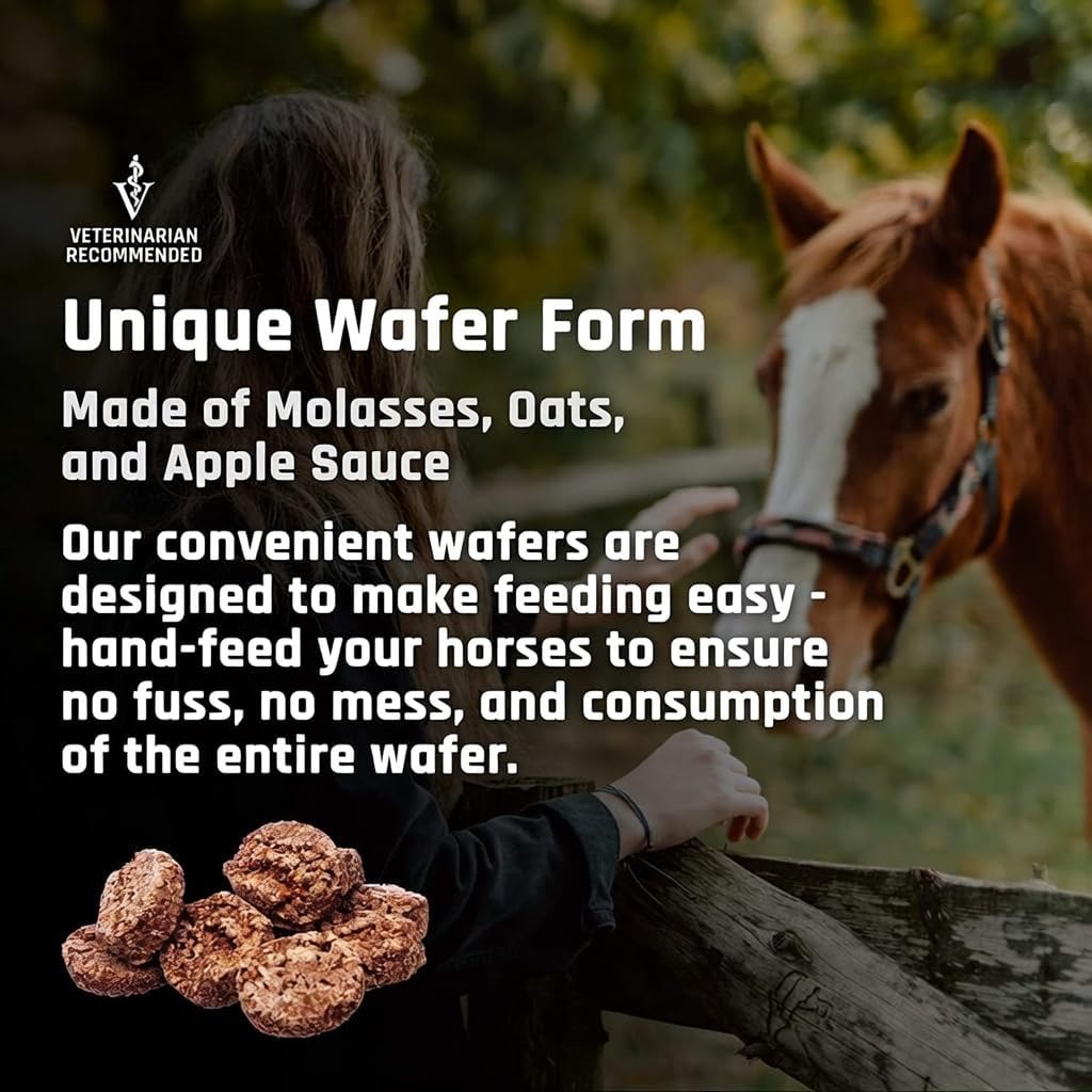 Majesty's Flex Wafers - Superior Horse/Equine Joint Support Supplement - Glucosamine, MSM, Chondroitin, Yucca, Vitamin C (Regular, 2 Pack (120 Count Total))