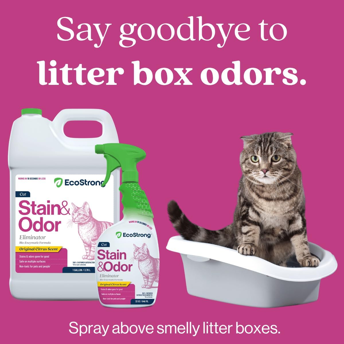 Eco Strong Cat Stain And Odor Remover| Enzyme Urine Odor Neutralizer - Stain Remover for Carpet, Litter Boxes, Bedding