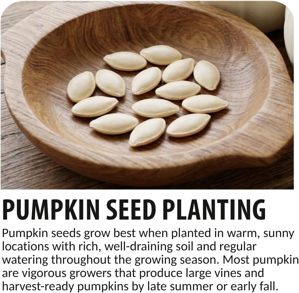 Biggest Pumpkin in The World | 10 Seeds | Grow Atlantic Giant Pumpkins
