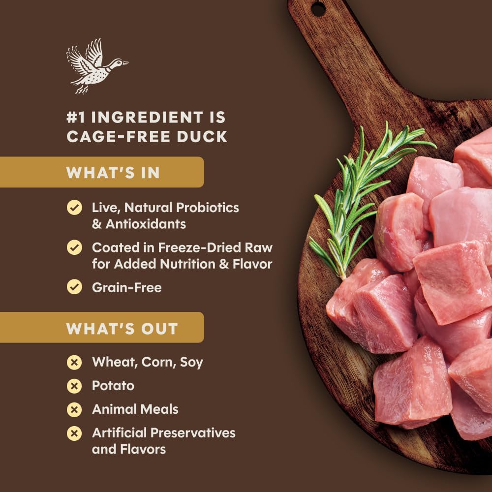 Instinct Ultimate Protein Dry Cat Food, Cage Free Chicken, 4 lb. Bag | Protein-packed recipe, 95% protein from real chicken, probiotics, omegas & antioxidants for digestive, coat & immune health