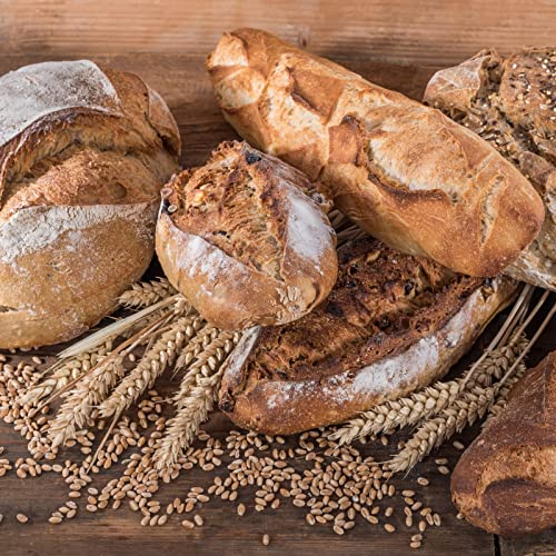 Soft White Wheat Berries Organically Grown in Michigan, Farmer Direct, USDA Organic Certified, Non-GMO, 25 Lbs Total // Findlay's Organics