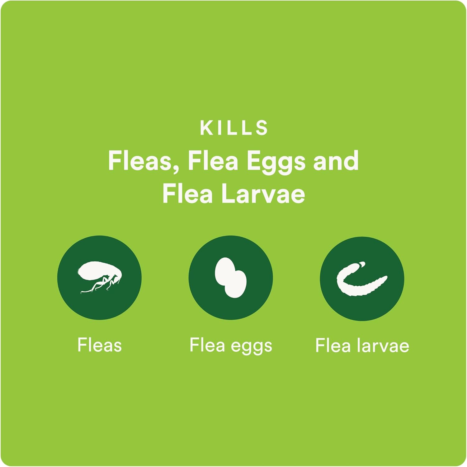 Advecta Plus Cat Flea Treatment 5-9 lbs, Imidacloprid, 4-Month | Ideal for Small Cats 5-9 lbs; Kills Adult Fleas in 12 hrs; 4-month supply; Breaks Flea Life Cycle