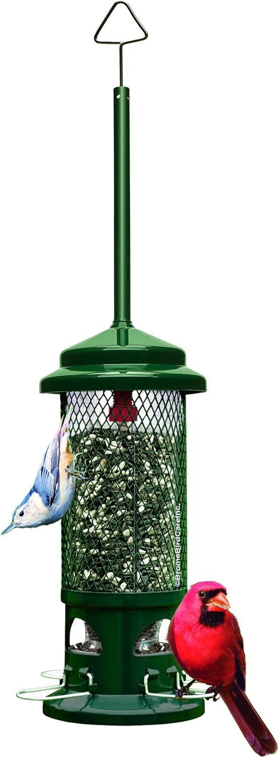Squirrel Buster Standard Squirrel-proof Bird Feeder w/4 Metal Perches, 1.3-pound Seed Capacity, garden green | Four metal perches