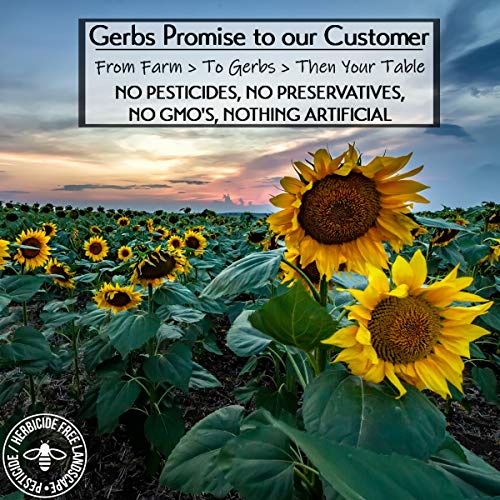 Lightly Sea Salted Sunflower Seed in Shell by Gerbs - 2 LBS - Top 11 Food Allergen Free & Non GMO - Premium Dry Roasted Seeds – COG USA | Small Batch, No Artificial Additives, Resealable Bag | Crack-and-Eat Crunchy Snack | Top 14 Allergen-Free