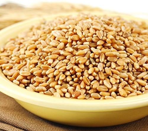 Wheat Montana Prairie Gold Hard White Spring Wheat Berries, 50 Lb. Bag