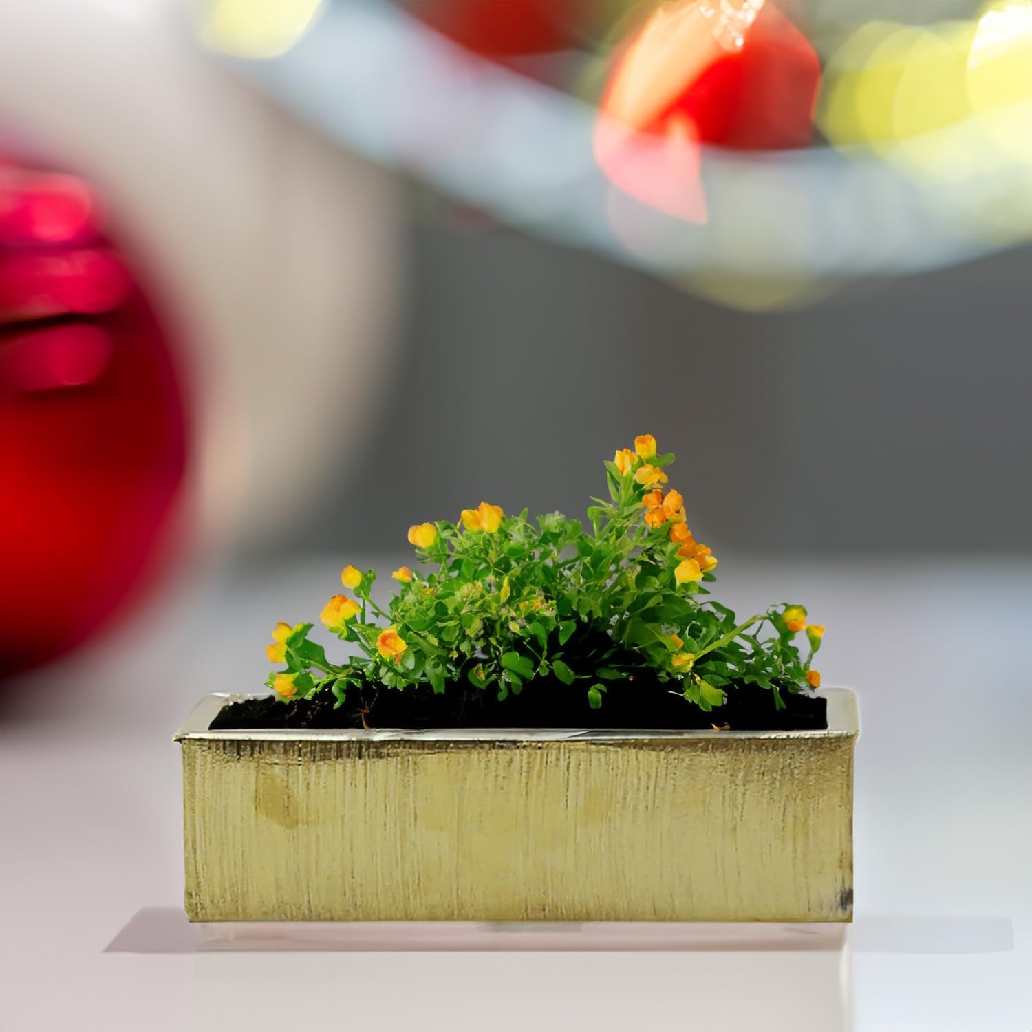 WGVI Long Rectangle Ceramic Planter Vase in White 14" x 4" x 4"H, Rectangular Box Block Terrarium Pot, Flower Arrangement, Tabletop Centerpiece