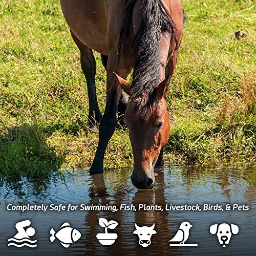 Pond Sludge Remover – 5 Pounds Beneficial Pond Bacteria & Enzyme Treatment - 100% Natural Muck Digester – Safe for All Aquatic Life and