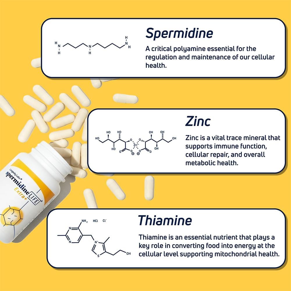 LONGEVITY LABS + spermidineLIFE Supplement, 60 Capsules
