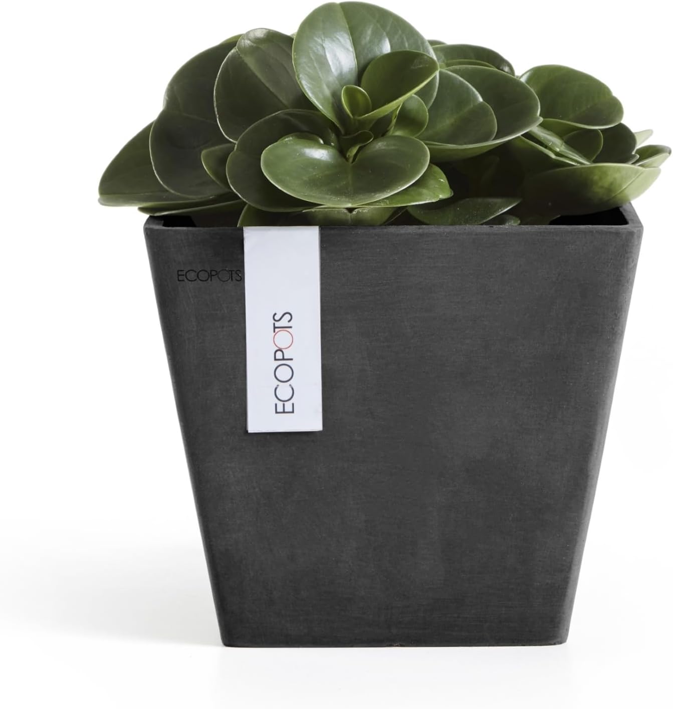 Ecopots Rotterdam Square Flower Planter, White Grey, 8" | Modern Style, Durable Recycled-Based Composite Construction, Weather and UV-Resistant, for Indoor/Outdoor Use