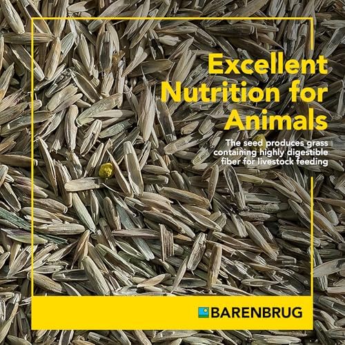 Pasture Seed, 25 lb 23094