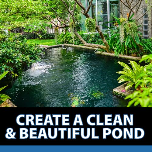 CrystalClear Algae-Off - Registered
