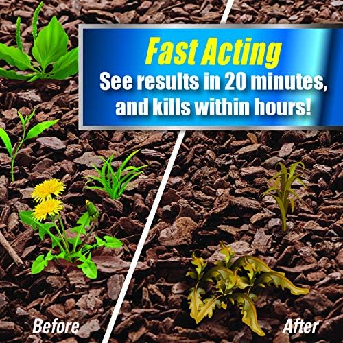 PWG-B-128-S Grass Ready to Use Weed Killer, 128 Fl Oz (Pack of 1), Clear