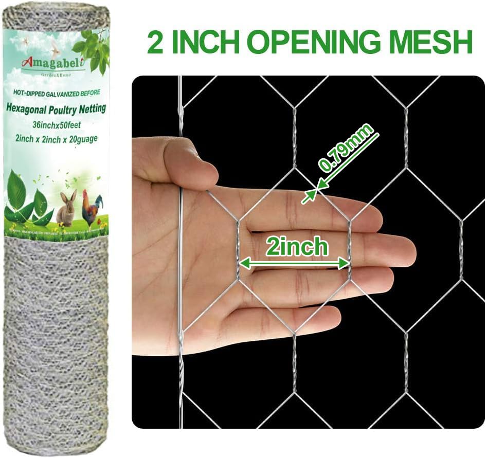 Amagabeli Chicken Wire Fencing Poultry Wire Netting 36inch x 50ft 2 Inch Hexagonal Galvanized Mesh Garden Fence Animal Barrier for Garden Protection Craft Rabbit Cage Dog Roll Chicken Coop Accessories