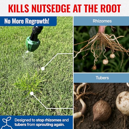 Sedgehammer 51516 Nutsedge Herbicide | Kills Yellow and Purple Nutsedge, Green Kyllinga, Selective Weed Killer for Lawns, Gardens and Landscapes