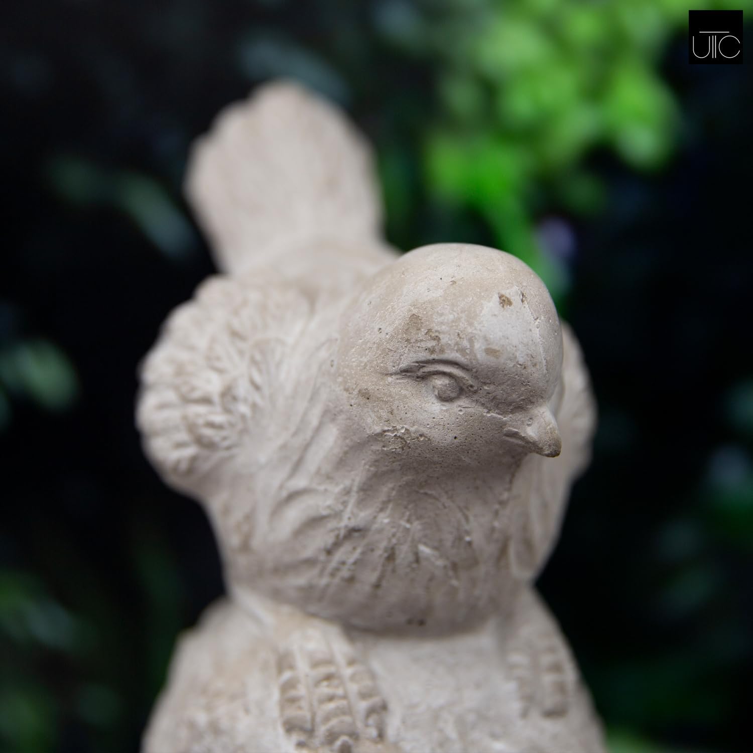 Small Cement Bird Statue, Gray Concrete Finish (8.25 X 5.25 X 6.25 In.) | Decorative Cement Bird Figurine With A Gray Concrete Finish, Ideal For Tables, Patios, Lawns, Yards, And Home Décor.