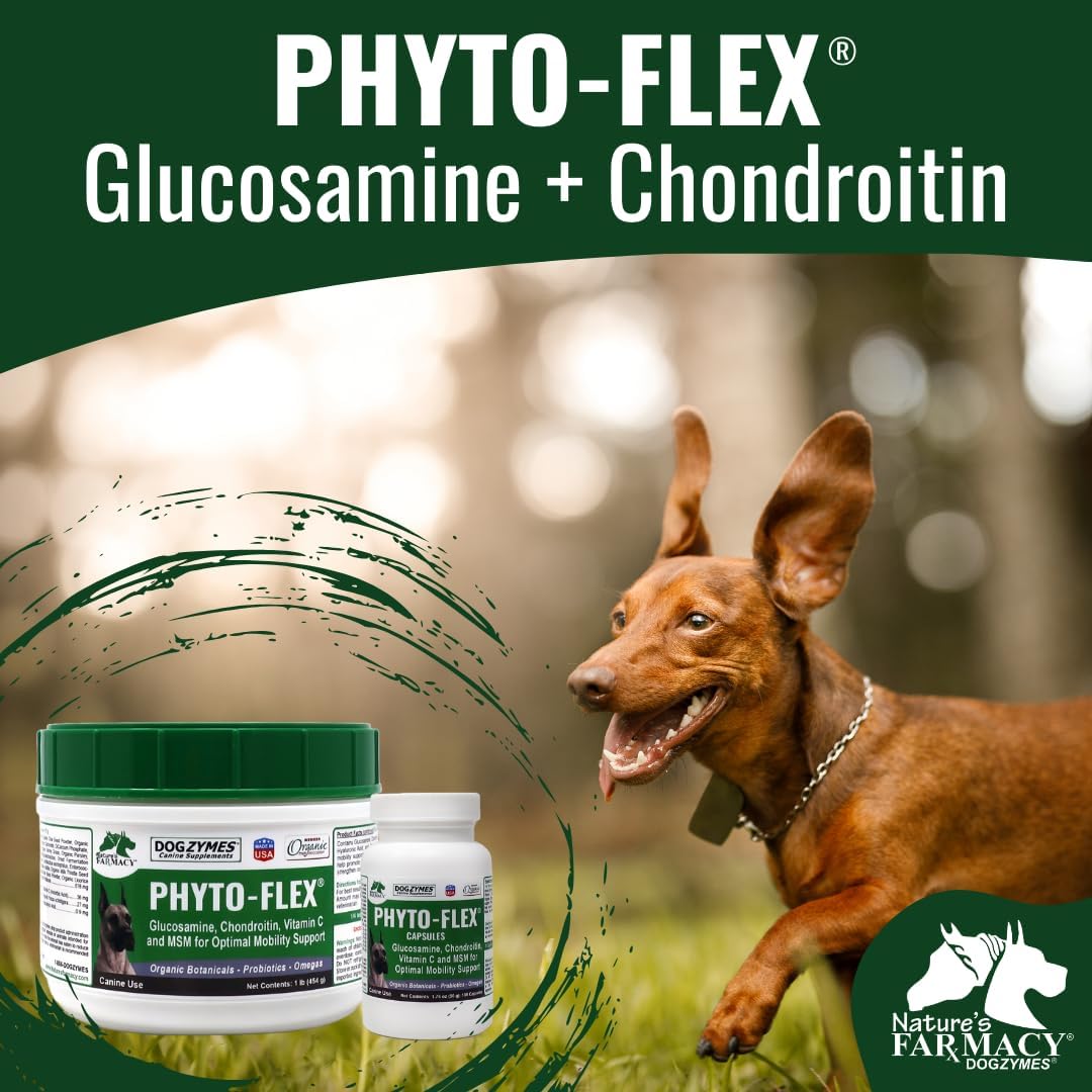 Dogzymes Phyto Flex - Glucosamine, Chondroitin, MSM and Hyaluronic Acid… (2 Pound)