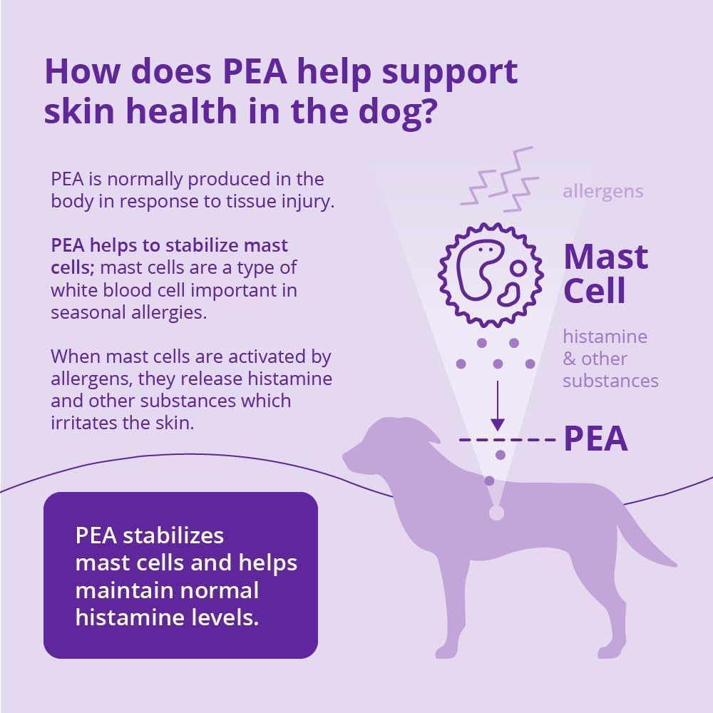 100mg Hypoallergenic with Pea-um for All Dogs 120 Soft Chews