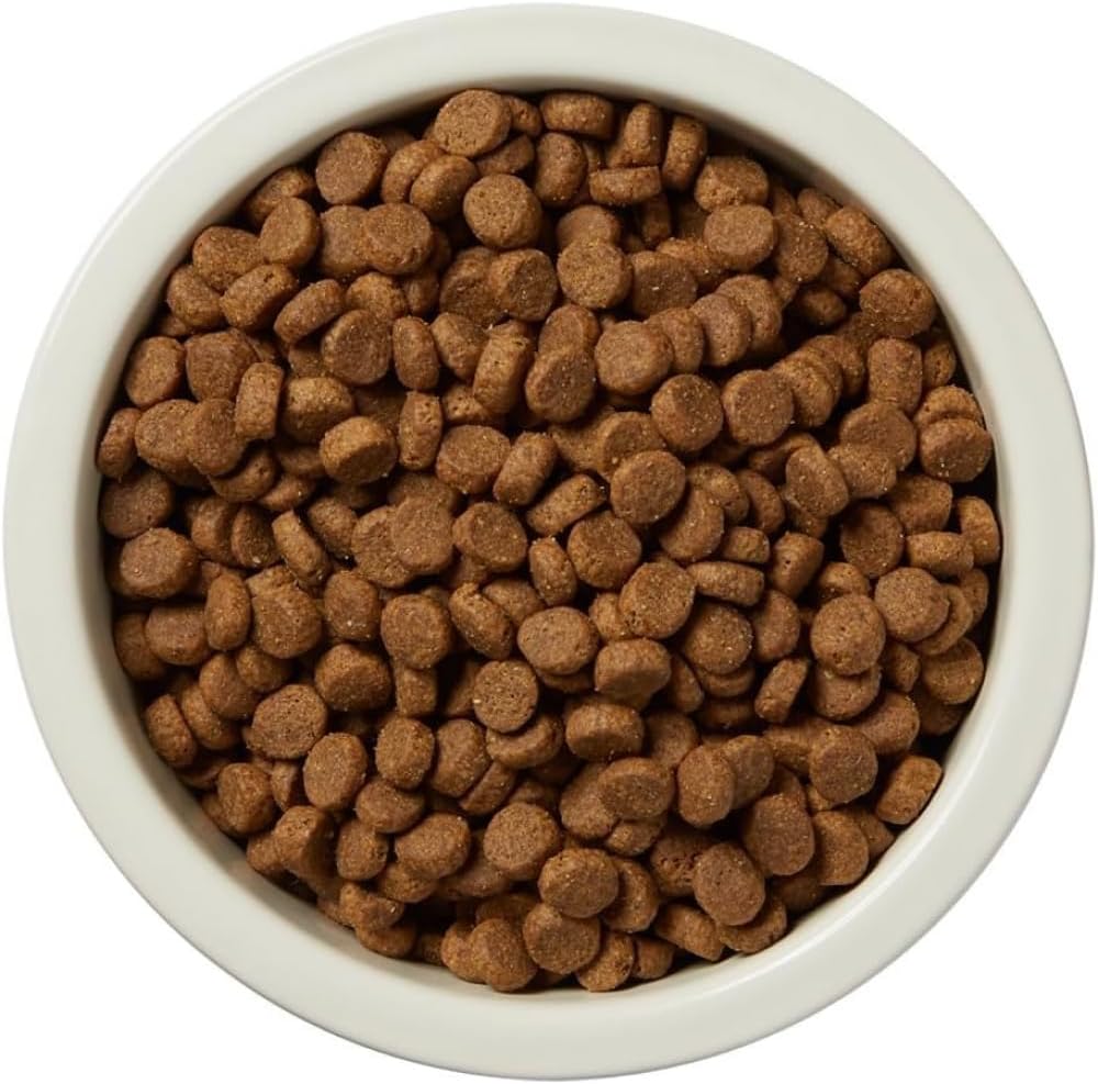 Amazon Brand - Wag Wholesome Grains Dry Dog Food with Salmon and Brown Rice, 30 lb Bag (Pack of 1)