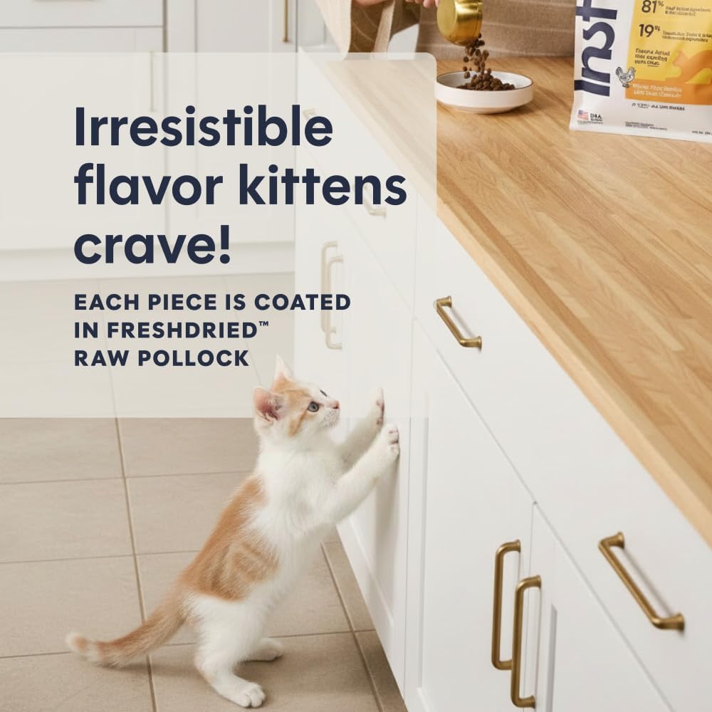 Instinct Original Dry Cat Food, Raw Coated Kibble, Real Chicken, 11 lb. Bag | Raw-coated kibble with cage-free chicken for strong muscles, digestive health, and healthy skin & coat, grain-free