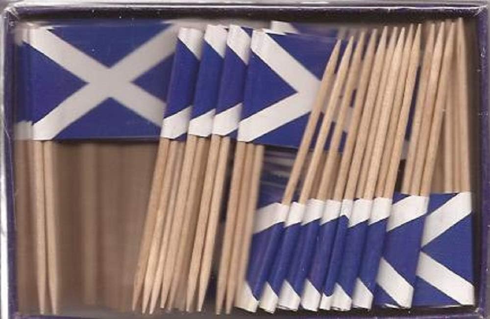 One Box of 100 Nicaragua Toothpick Flags, 100 Small Mini International Flag Cupcake Toothpicks or Cocktail Picks