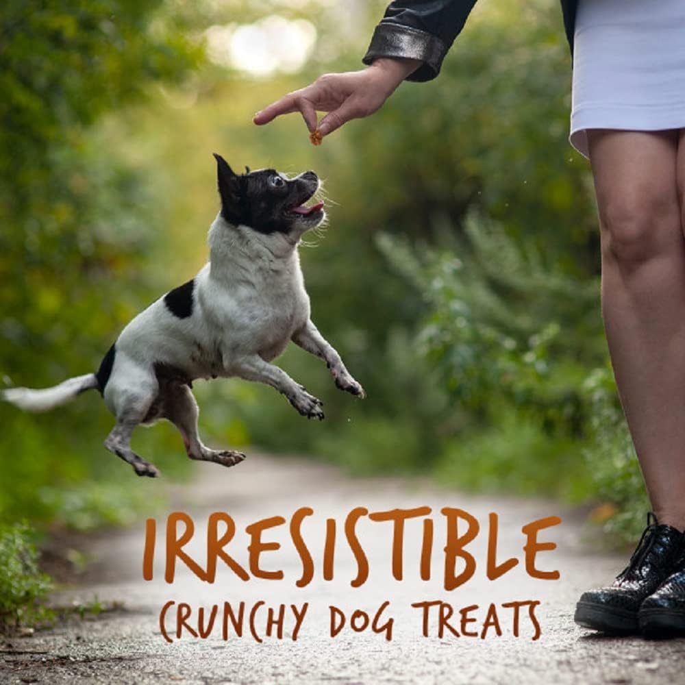 Fruitables Baked Dog Treats, Low Calorie Treats, Pumpkin & Banana, 7oz | Healthy Dog Treats, Training Treats, Crunchy Dog Biscuits, Limited Ingredient Recipe, Healthy Puppy Snacks, Made in USA