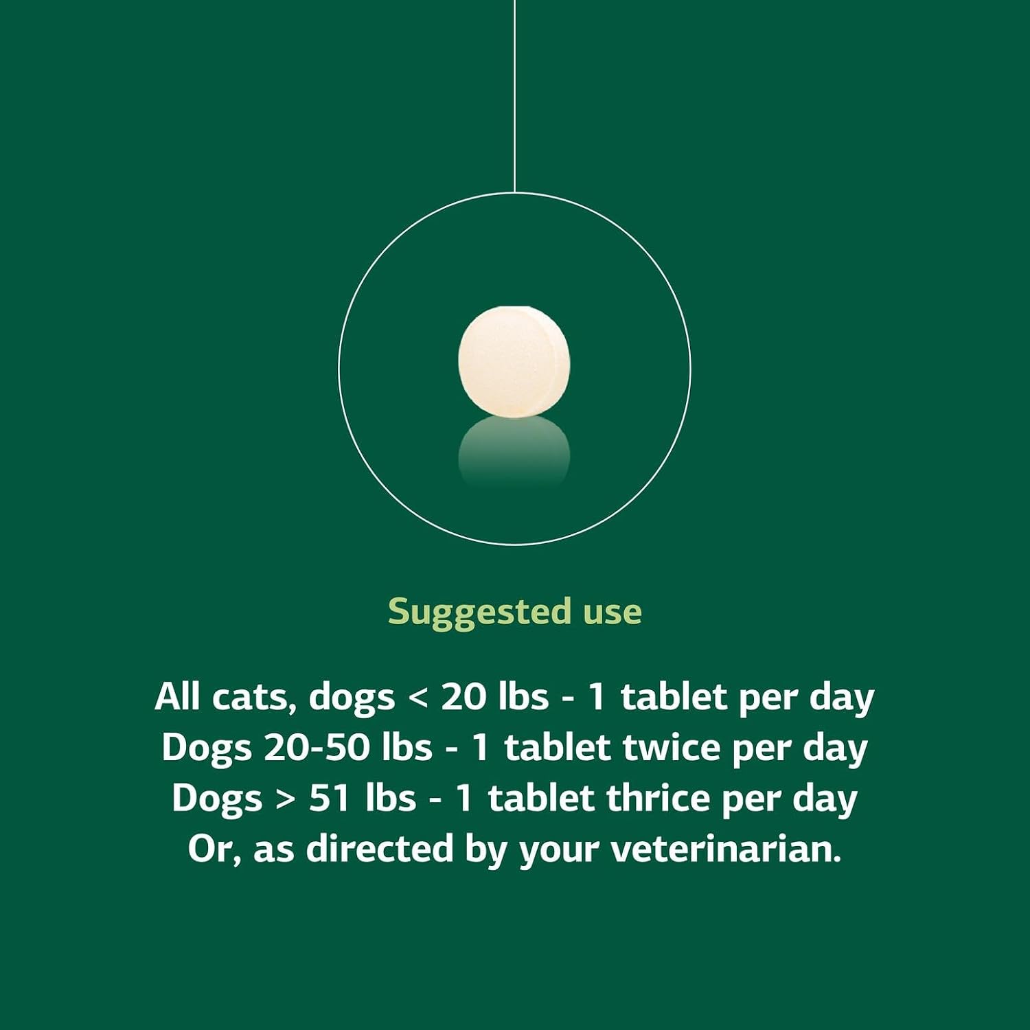 Standard Process Inc. VF Antronex for Pets - Feline & Canine Hepatic Support Formula - Healthy Liver Supplement for Cats & Dogs - Antronex