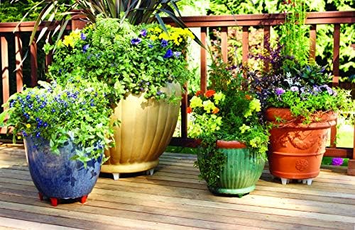 Bosmere Down Under Plant Stand,16", Black
