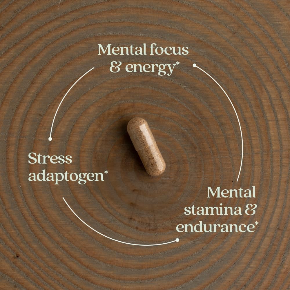New Chapter Rhodiola Force 300mg with Potent Vegan Rhodiola for Mental Focus & Stamina