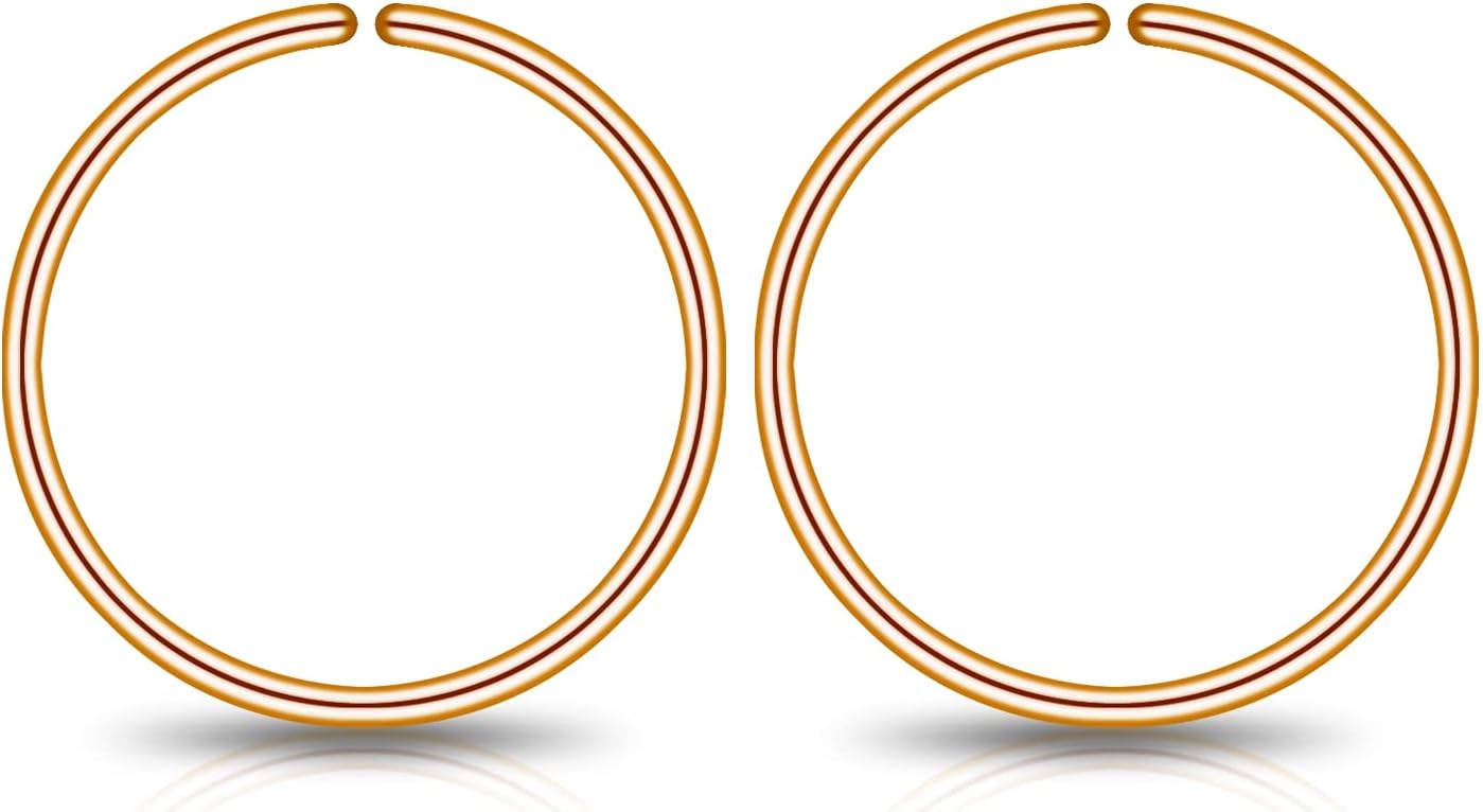 Small Gold or Sterling Silver Huggie Hoop Earrings for Women Cartilage Nose Helix Tragus