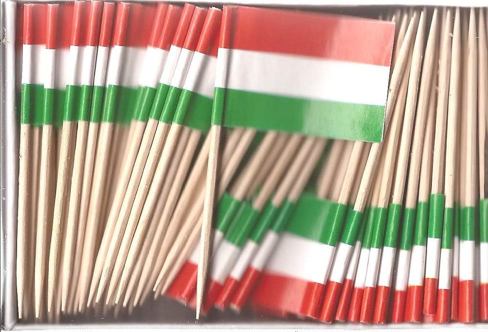 One Box of 100 Nicaragua Toothpick Flags, 100 Small Mini International Flag Cupcake Toothpicks or Cocktail Picks