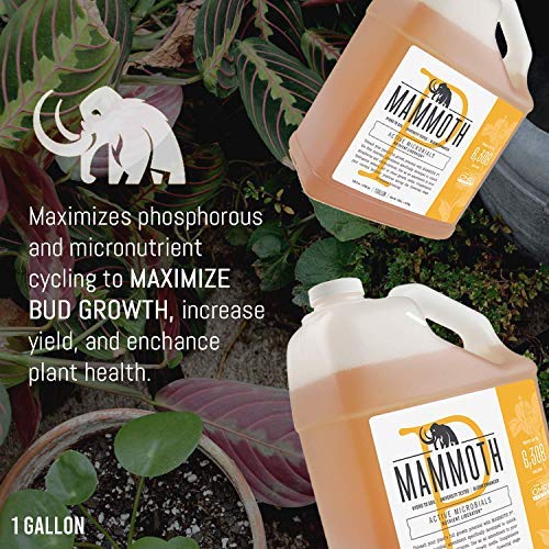 Mammoth Organic Bloom Booster | Mammoth P Organic Fertilizer Microbial Inoculant | 16% Proven Increase in Yield (250 ml)