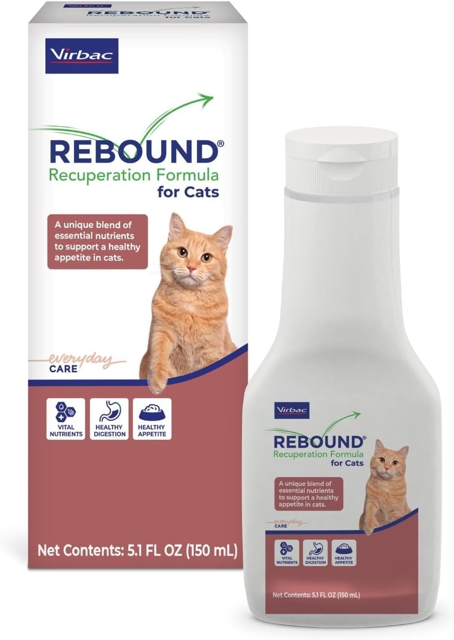 Rebound Recuperation Formula for Cats