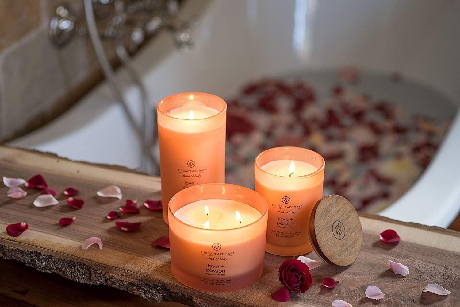 Chesapeake Bay Balance + Harmony Scented Candle Water Lily Pear Fragrance 50 Hours Burn Time Warm & Decorative Soy Wax Blend